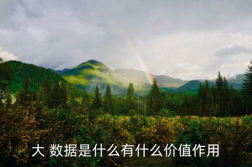 大 數(shù)據(jù)是什么有什么價(jià)值作用