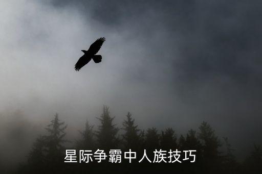 攻防機(jī)器人