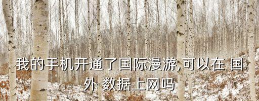 國(guó)外用數(shù)據(jù)流量,國(guó)外數(shù)據(jù)流量開(kāi)啟,為啥鏈接不上無(wú)線