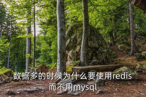 數(shù)據(jù)多的時候為什么要使用redis而不用mysql
