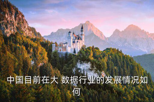 中國目前在大 數(shù)據(jù)行業(yè)的發(fā)展情況如何