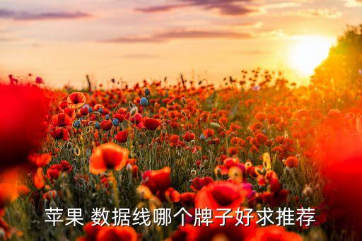 金屬二合一數(shù)據(jù)線,psp二合一數(shù)據(jù)線好用嗎