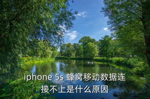 iphone 5s 蜂窩移動數(shù)據(jù)連接不上是什么原因