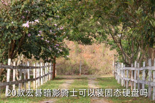 西部數(shù)據(jù)藍盤筆記本