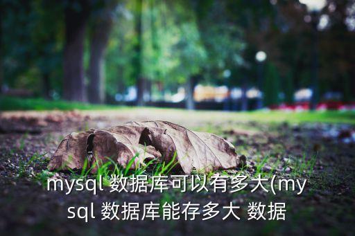 數(shù)據(jù)存儲容量,以下哪種光學(xué)設(shè)備具備最大數(shù)據(jù)存儲容量