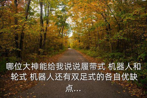 哪位大神能給我說說履帶式 機(jī)器人和 輪式 機(jī)器人還有雙足式的各自優(yōu)缺點(diǎn)...