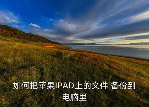 如何把蘋果IPAD上的文件 備份到電腦里