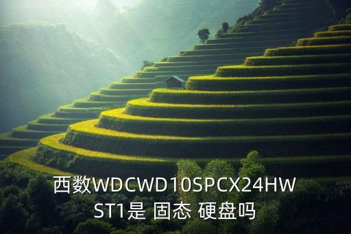 西數(shù)WDCWD10SPCX24HWST1是 固態(tài) 硬盤嗎