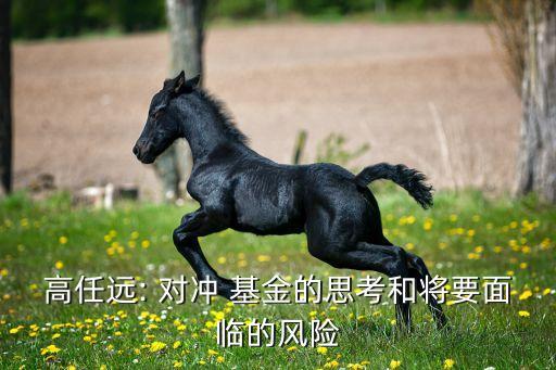 對沖基金 數(shù)據(jù),中國十大對沖基金