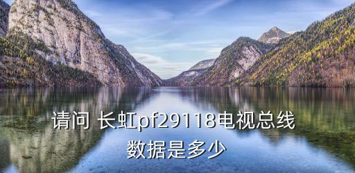 請問 長虹pf29118電視總線 數(shù)據(jù)是多少