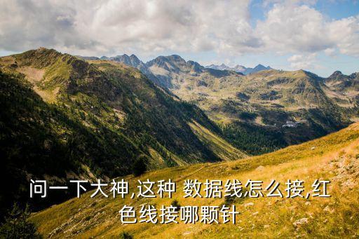 問(wèn)一下大神,這種 數(shù)據(jù)線怎么接,紅色線接哪顆針