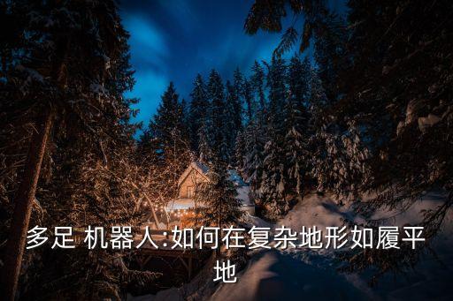 兩足仿人機(jī)器人的研制