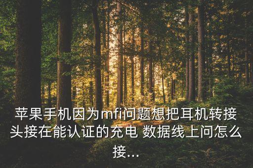蘋果手機(jī)因?yàn)閙fi問題想把耳機(jī)轉(zhuǎn)接頭接在能認(rèn)證的充電 數(shù)據(jù)線上問怎么接...