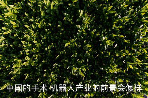 中國的手術(shù) 機(jī)器人產(chǎn)業(yè)的前景會(huì)怎樣