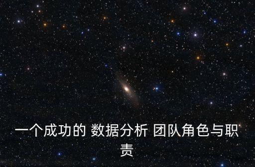 一個(gè)成功的 數(shù)據(jù)分析 團(tuán)隊(duì)角色與職責(zé)