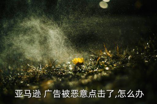 亞馬遜廣告數(shù)據(jù)處理