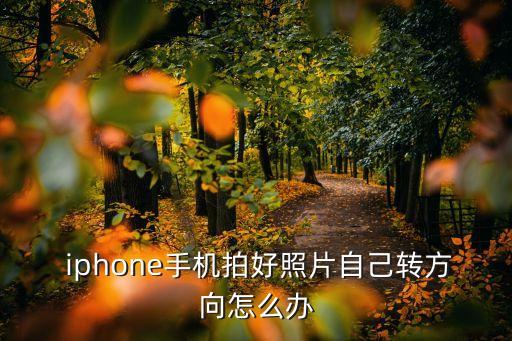 iphone導(dǎo)出的照片自動(dòng)旋轉(zhuǎn)