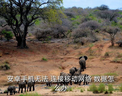 數(shù)據(jù)連接不能用怎么辦啊
