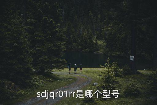 sdjqr01rr是哪個(gè)型號(hào)