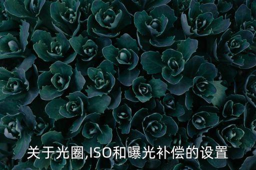 關(guān)于光圈,ISO和曝光補(bǔ)償?shù)脑O(shè)置
