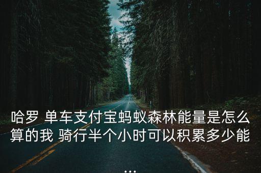 共享單車每日騎行數(shù)據(jù)