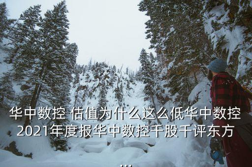 機(jī)器人 上市公司估值,簡述上市公司及其股票估值的主要方法