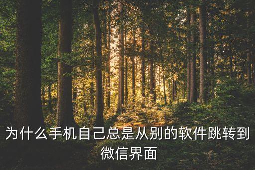 為什么手機(jī)自己總是從別的軟件跳轉(zhuǎn)到 微信界面