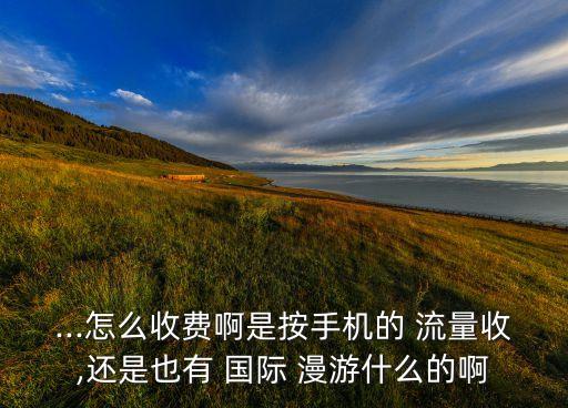 ...怎么收費(fèi)啊是按手機(jī)的 流量收,還是也有 國際 漫游什么的啊