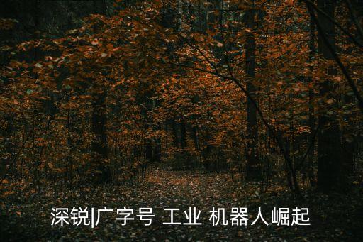 制造業(yè)工業(yè)機(jī)器人,使用工業(yè)機(jī)器人對(duì)我國(guó)制造業(yè)的積極影響