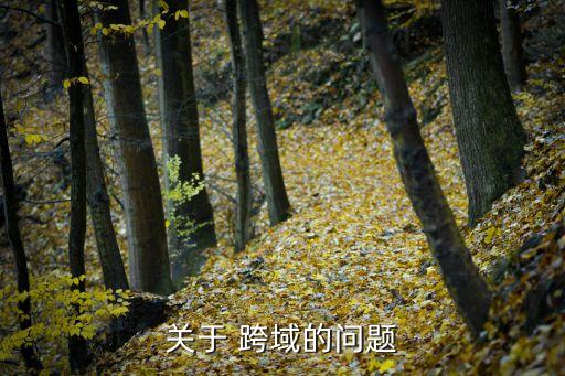 flash跨域數(shù)據(jù)劫持漏洞