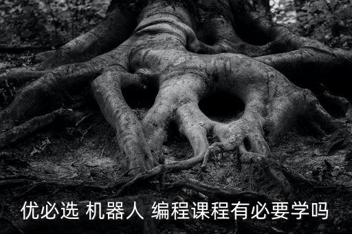 優(yōu)必選 機(jī)器人 編程課程有必要學(xué)嗎