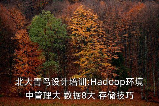北大青鳥設(shè)計(jì)培訓(xùn):Hadoop環(huán)境中管理大 數(shù)據(jù)8大 存儲(chǔ)技巧