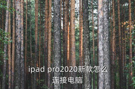  ipad pro2020新款怎么連接電腦
