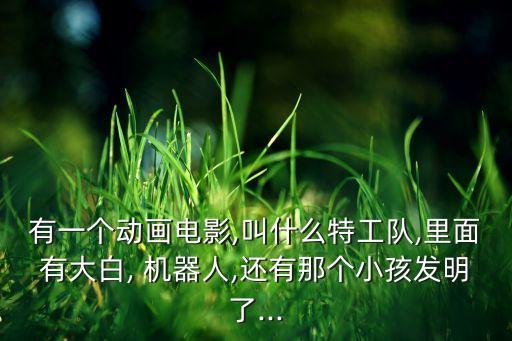 有一個動畫電影,叫什么特工隊,里面有大白, 機器人,還有那個小孩發(fā)明了...