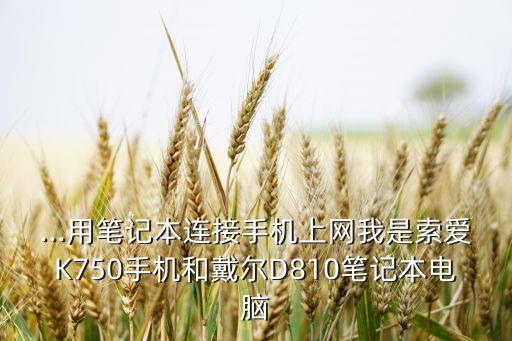 ...用筆記本連接手機上網(wǎng)我是索愛K750手機和戴爾D810筆記本電腦