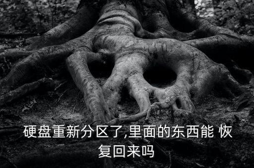  硬盤(pán)重新分區(qū)了,里面的東西能 恢復(fù)回來(lái)嗎