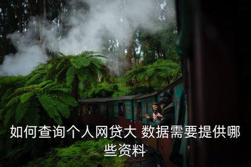 大數(shù)據(jù)風(fēng)控怎么查,微博數(shù)據(jù)怎么做控評