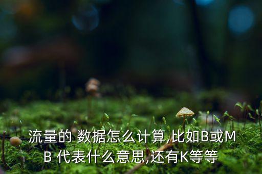  流量的 數(shù)據(jù)怎么計(jì)算,比如B或MB 代表什么意思,還有K等等