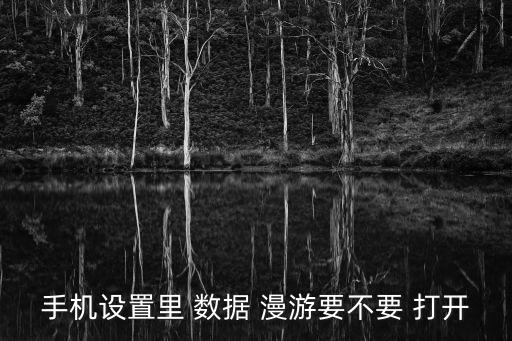 手機(jī)設(shè)置里 數(shù)據(jù) 漫游要不要 打開