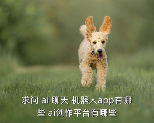 求問 ai 聊天 機器人app有哪些 ai創(chuàng)作平臺有哪些