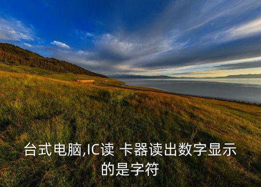臺(tái)式電腦,IC讀 卡器讀出數(shù)字顯示的是字符