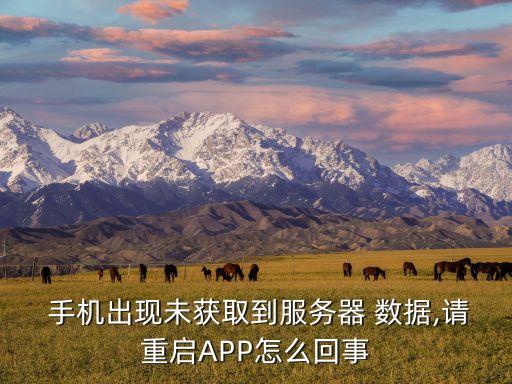  手機出現(xiàn)未獲取到服務(wù)器 數(shù)據(jù),請重啟APP怎么回事