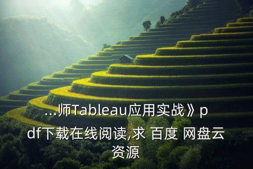 ...師Tableau應(yīng)用實(shí)戰(zhàn)》pdf下載在線閱讀,求 百度 網(wǎng)盤云資源