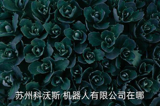 服務消費機器人制造,消費級機器人上市公司