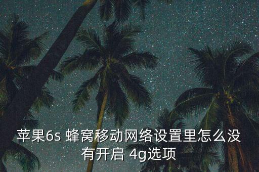 蘋果6s 蜂窩移動網(wǎng)絡(luò)設(shè)置里怎么沒有開啟 4g選項(xiàng)