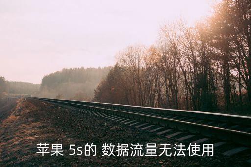 5s連不上蜂窩移動(dòng)數(shù)據(jù)連接,蘋果5s蜂窩移動(dòng)數(shù)據(jù)怎么設(shè)置