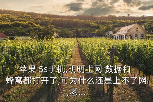 蘋(píng)果 5s手機(jī),明明上網(wǎng) 數(shù)據(jù)和 蜂窩都打開(kāi)了,可為什么還是上不了網(wǎng),老...