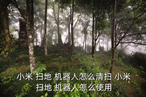  小米 掃地 機(jī)器人怎么清掃 小米 掃地 機(jī)器人怎么使用