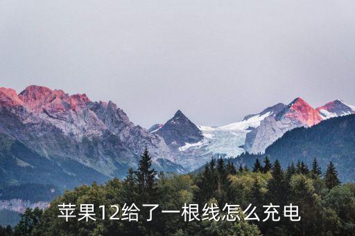  蘋果12給了一根線怎么充電