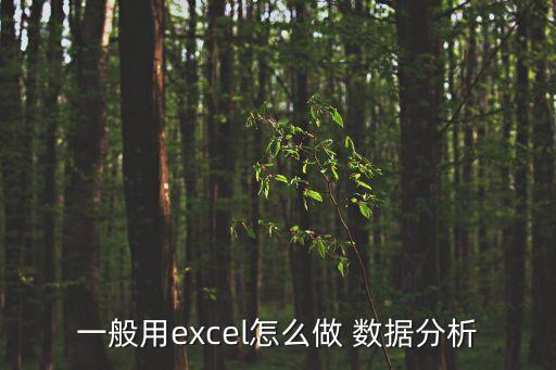 一般用excel怎么做 數(shù)據(jù)分析